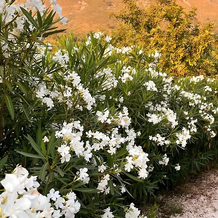 La Ruta Naranja Bed and Breakfast *